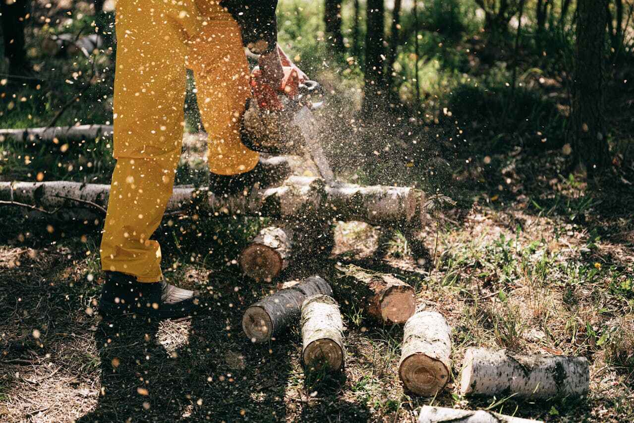 Tree Branch Trimming in Fort Pierce North, FL